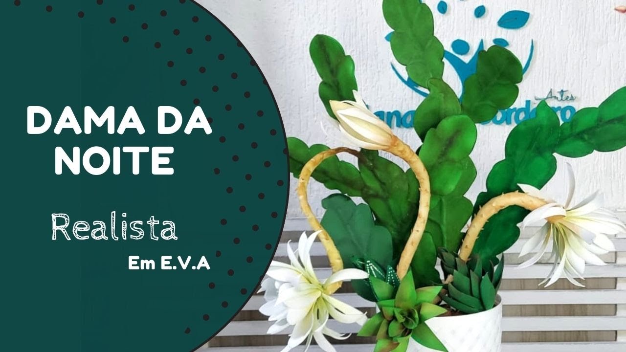 596 - Dama da Noite