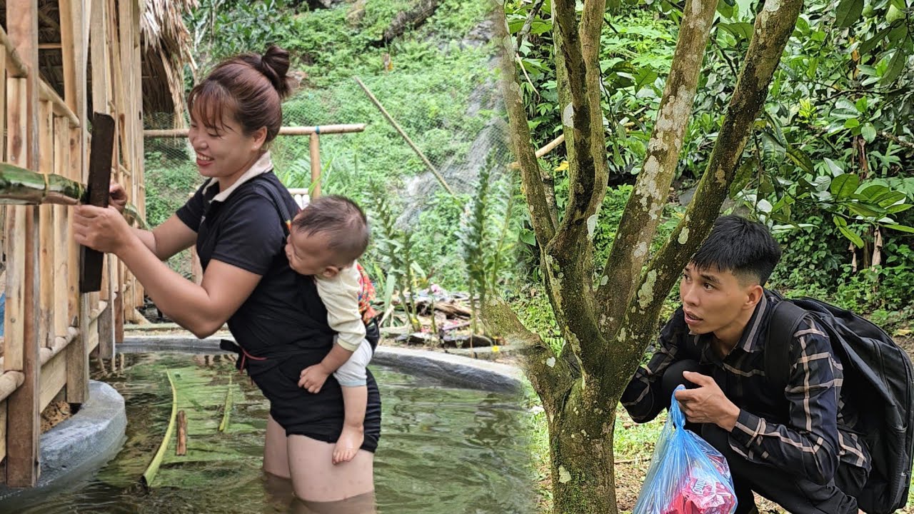 FULL VIDEO: dan came home and suddenly returned - Linh suddenly became a mother | Linh's Life