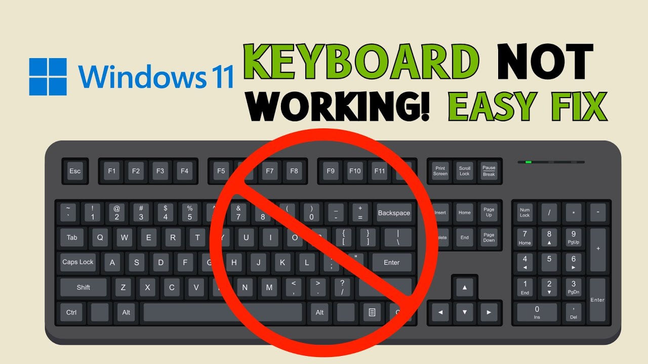 How to Fix Keyboard Not Working on Windows 11!