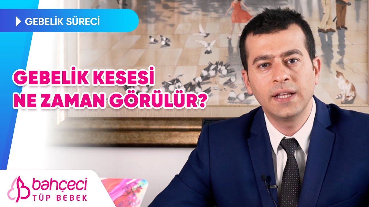 Gebelik Kesesi Ne Zaman G&ouml;r&uuml;l&uuml;r? | Bah&ccedil;eci T&uuml;p Bebek
