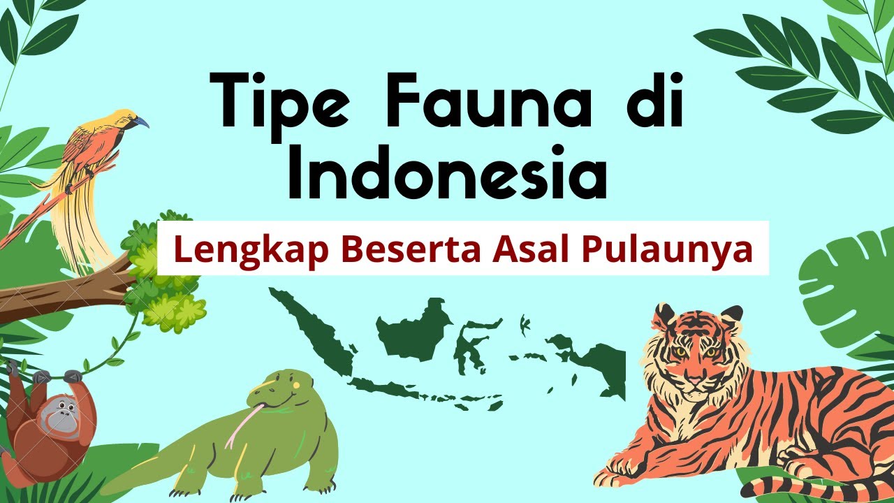 Tipe Fauna yang Ada di Indonesia - Fauna Asiatis | Peralihan | Australis - Garis Wallace dan Weber