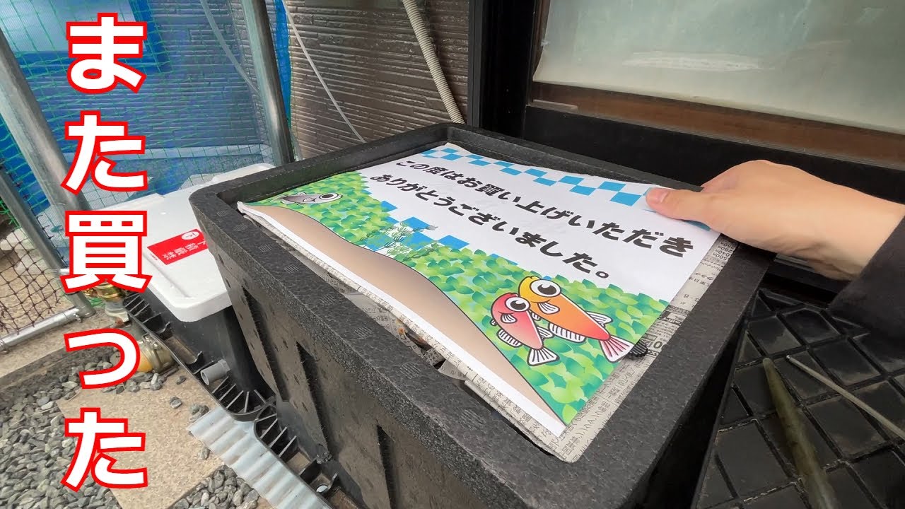 ほぼ全滅からの復活劇第３弾！またまた静楽庵で買っちゃいました！