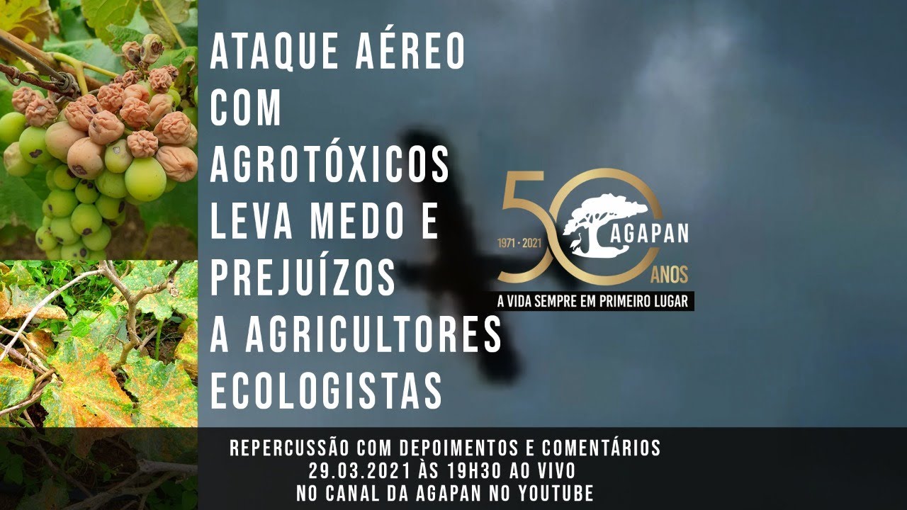 LIVE: ATAQUE AÉREO COM AGROTÓXICOS LEVA MEDO E PREJUÍZOS A AGRICULTORES ECOLOGISTAS