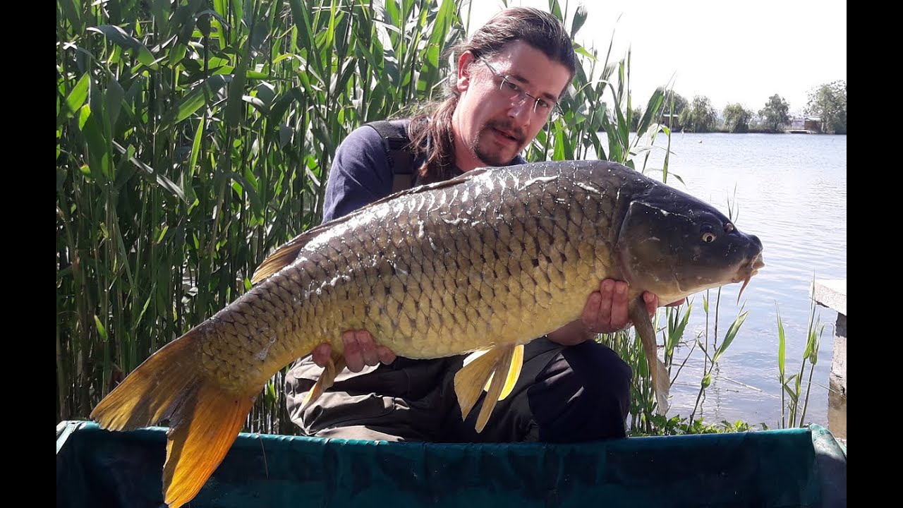 MUHTESEM SAZAN AVI 1. BOLUM -  GORGEOUS CARP FISHING EPISODE 1