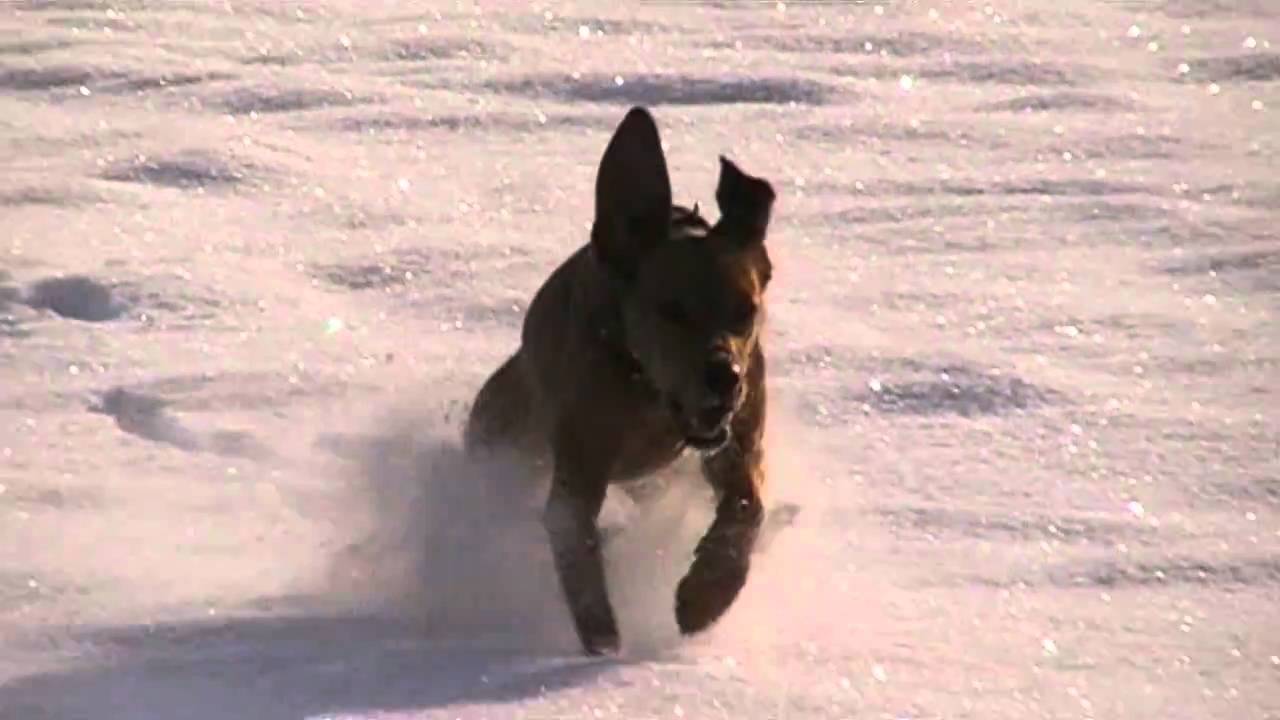 Fanny Winter 2010/2011