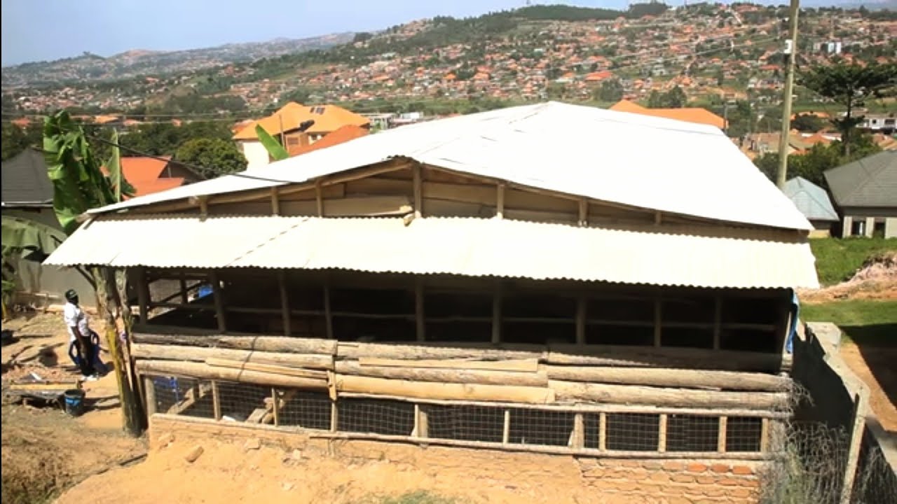 Okwongera Okukyalira Ko Abalunzi Baffe
