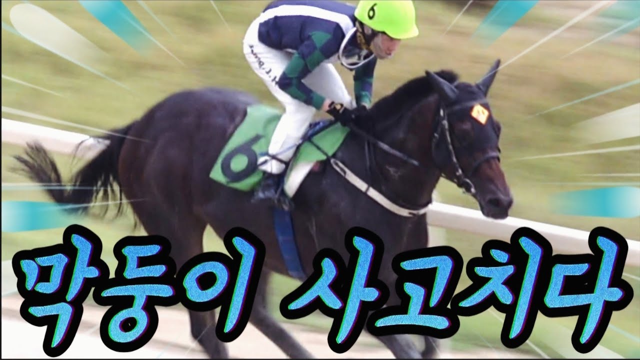 드디어 첫 승!!! 진짜 멋지게 달렸어요!!! 벨록스보이의 세번째 경주
