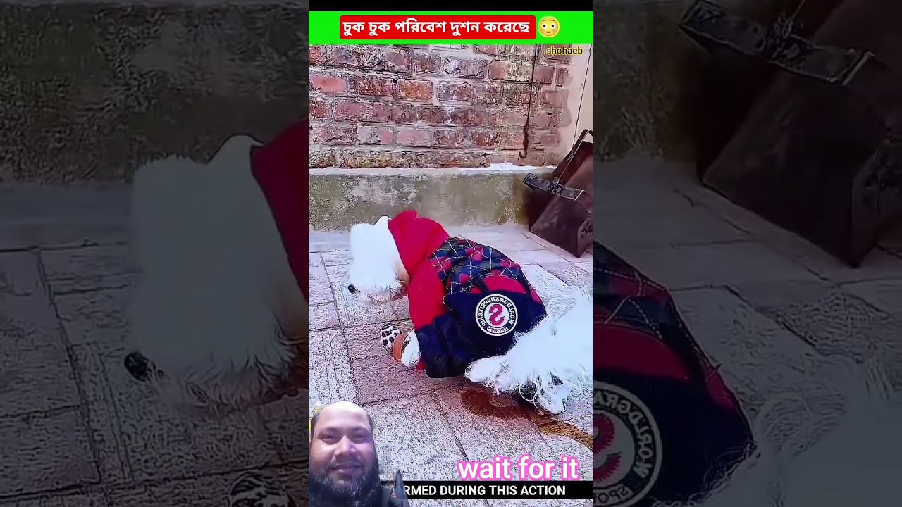 চুক চুক পরিবেশ দুশন করেছে 