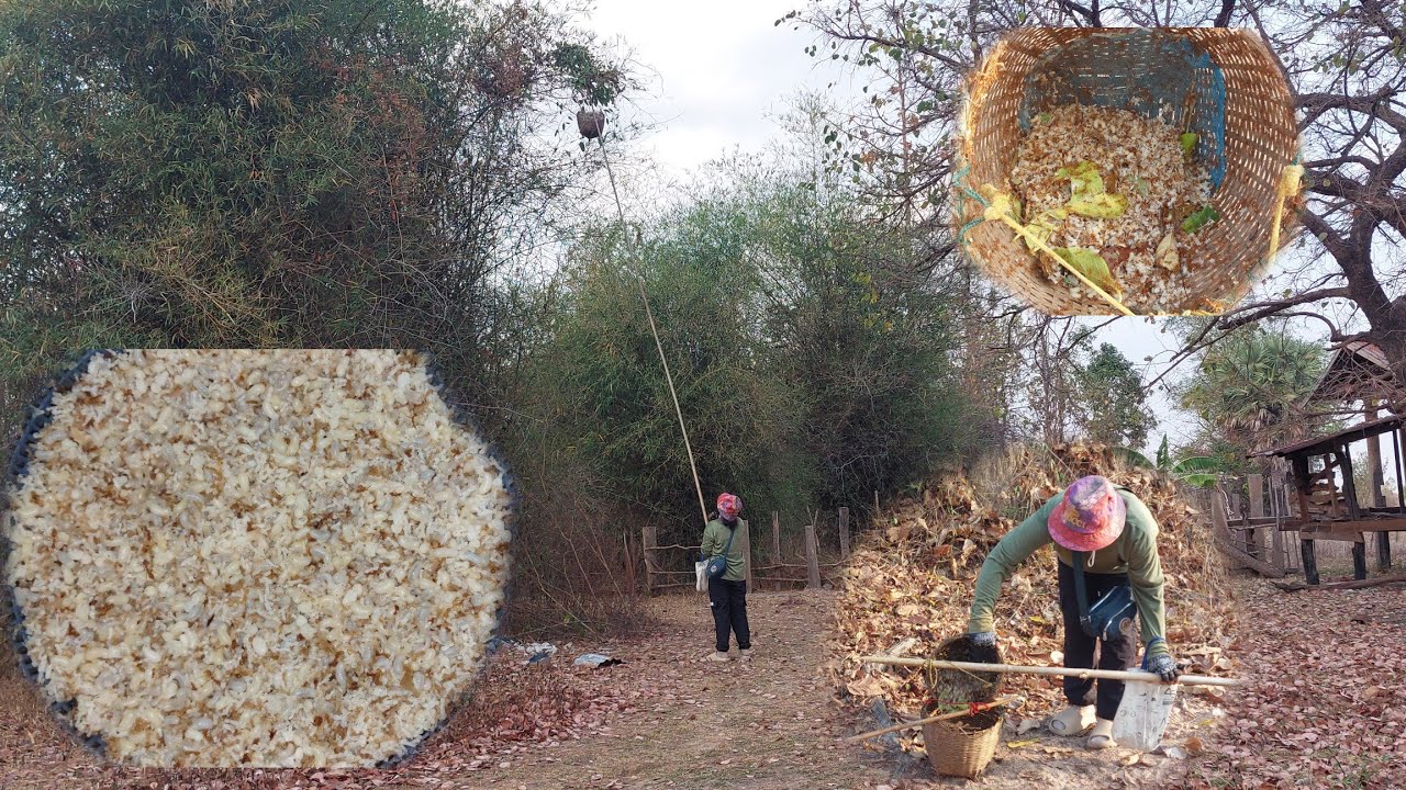 27 กุมภาพันธ์ ค.ศ. 2026