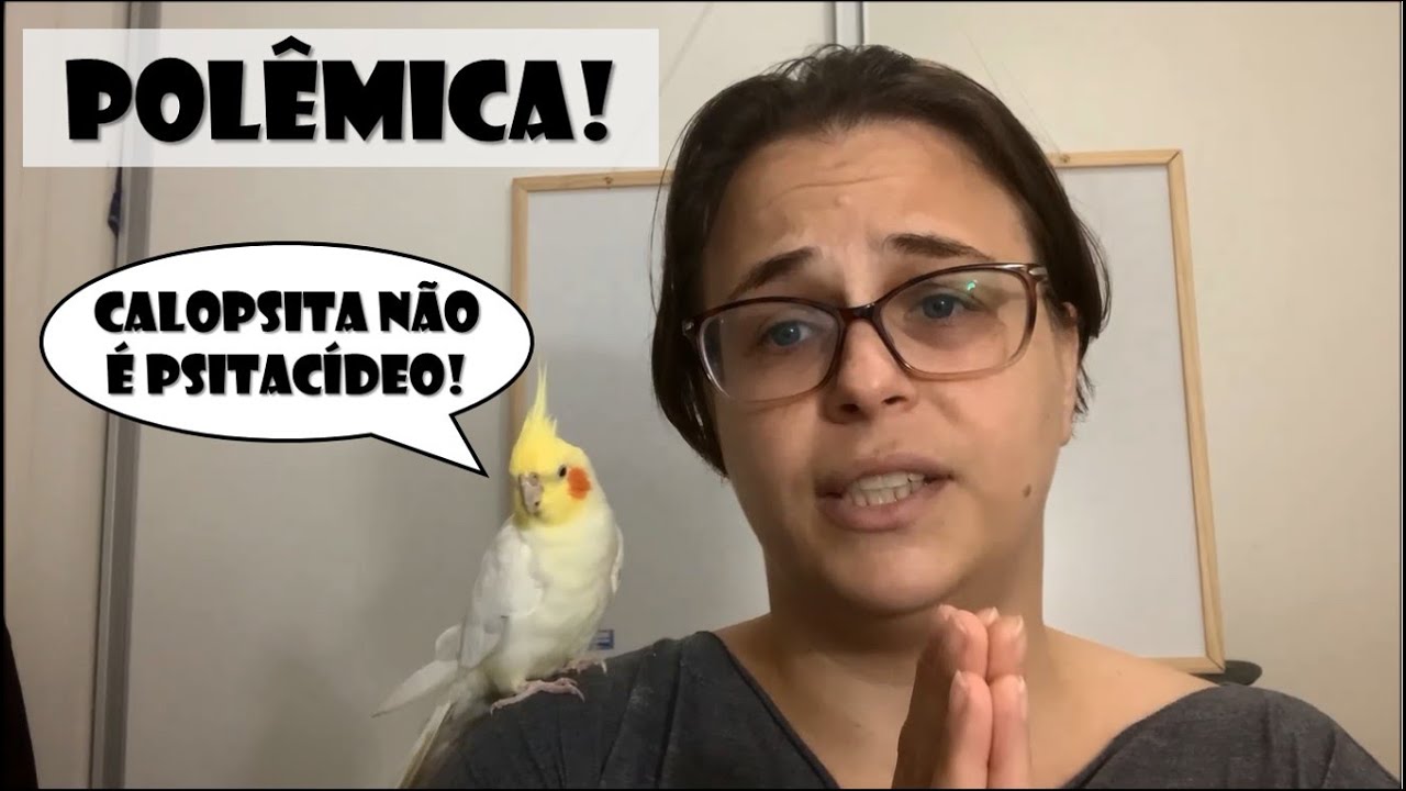POL&Ecirc;MICA NO MUNDO DAS AVES: CALOPSITA N&Atilde;O &Eacute; PSITAC&Iacute;DEO! VERDADE OU MITO? RESPOSTA NO V&Iacute;DEO!!!
