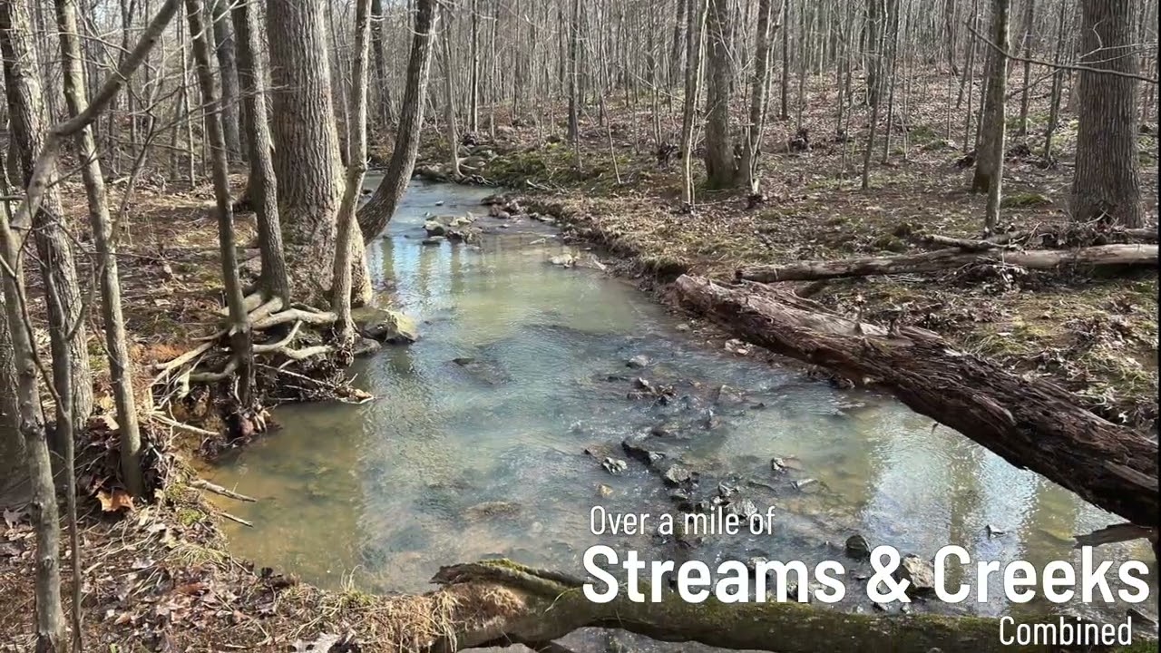 Land for sale in Oxford North Carolina (Granville County) - Oxford Timber Investment West