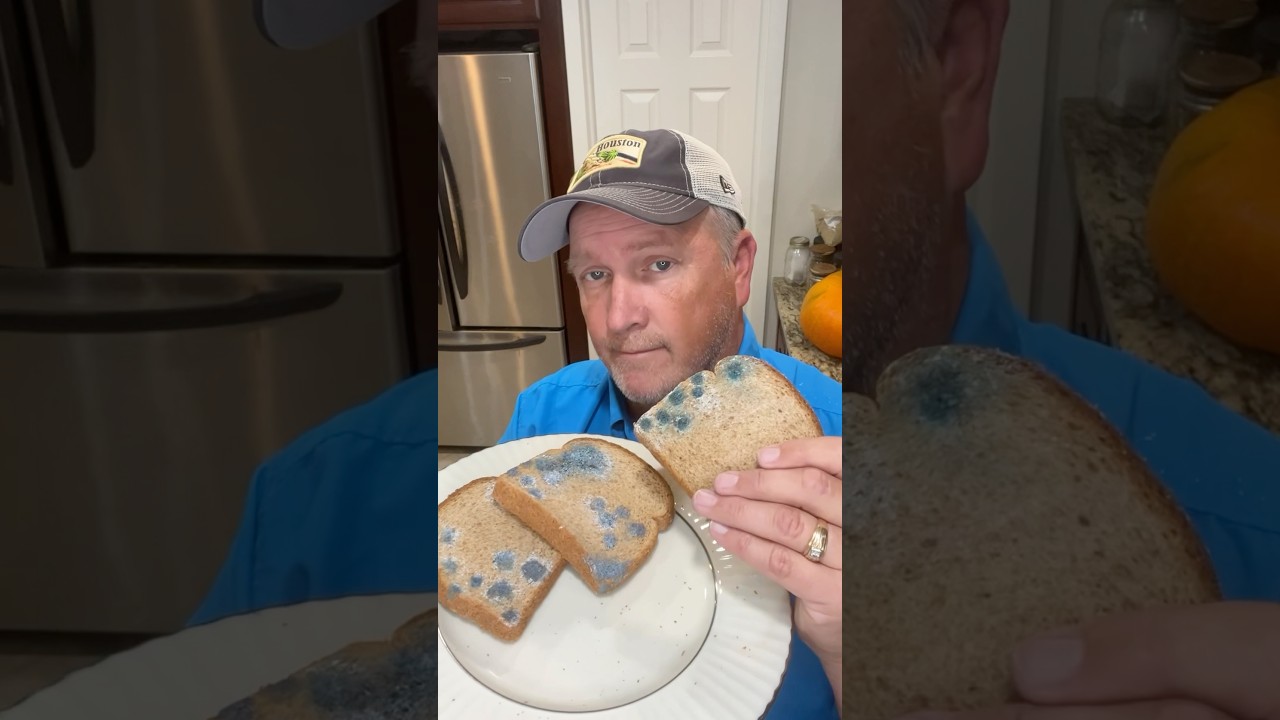 Edible Moldy Bread Props #shorts