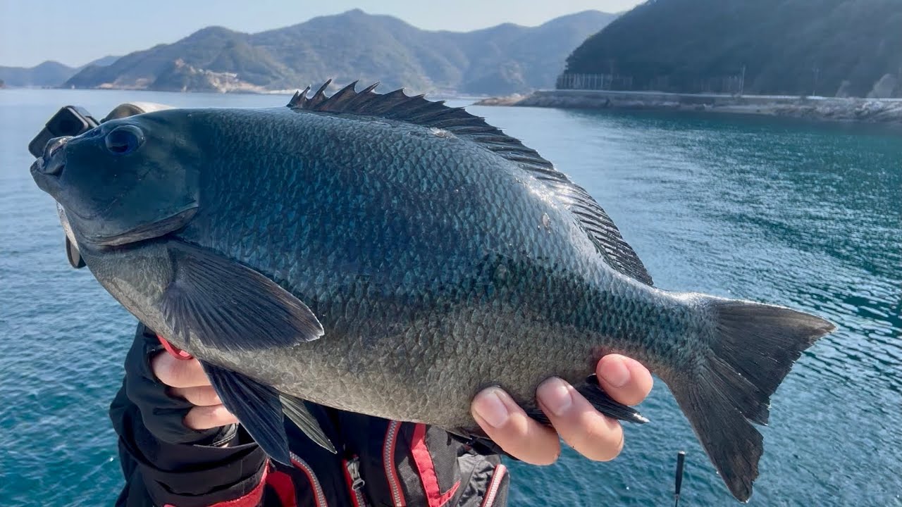 【初釣り】地磯で爆釣！【前編】