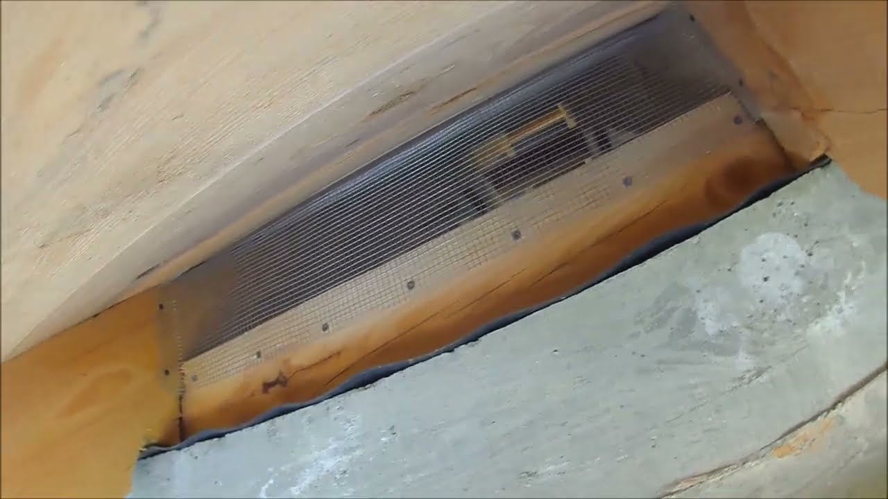 Jak zabezpieczyć przestrzeń nad murłatą przed kunami i owadami