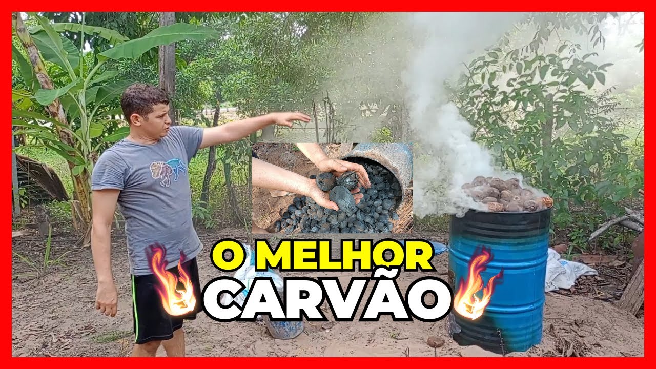 Melhor maneira para produzir carvão de coco babaçu.