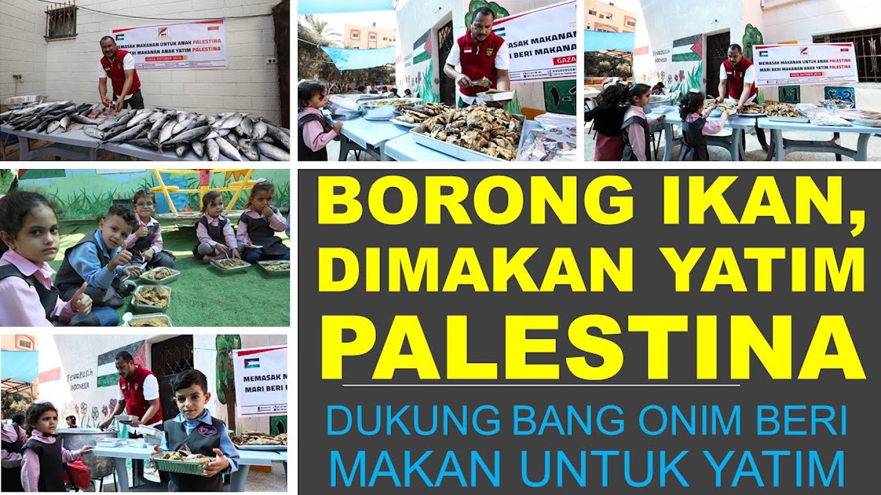 BORONG PULUHAN EKOR IKAN SEGAR, MEMASAK MAKANAN RATUSAN YATIM G4Z4