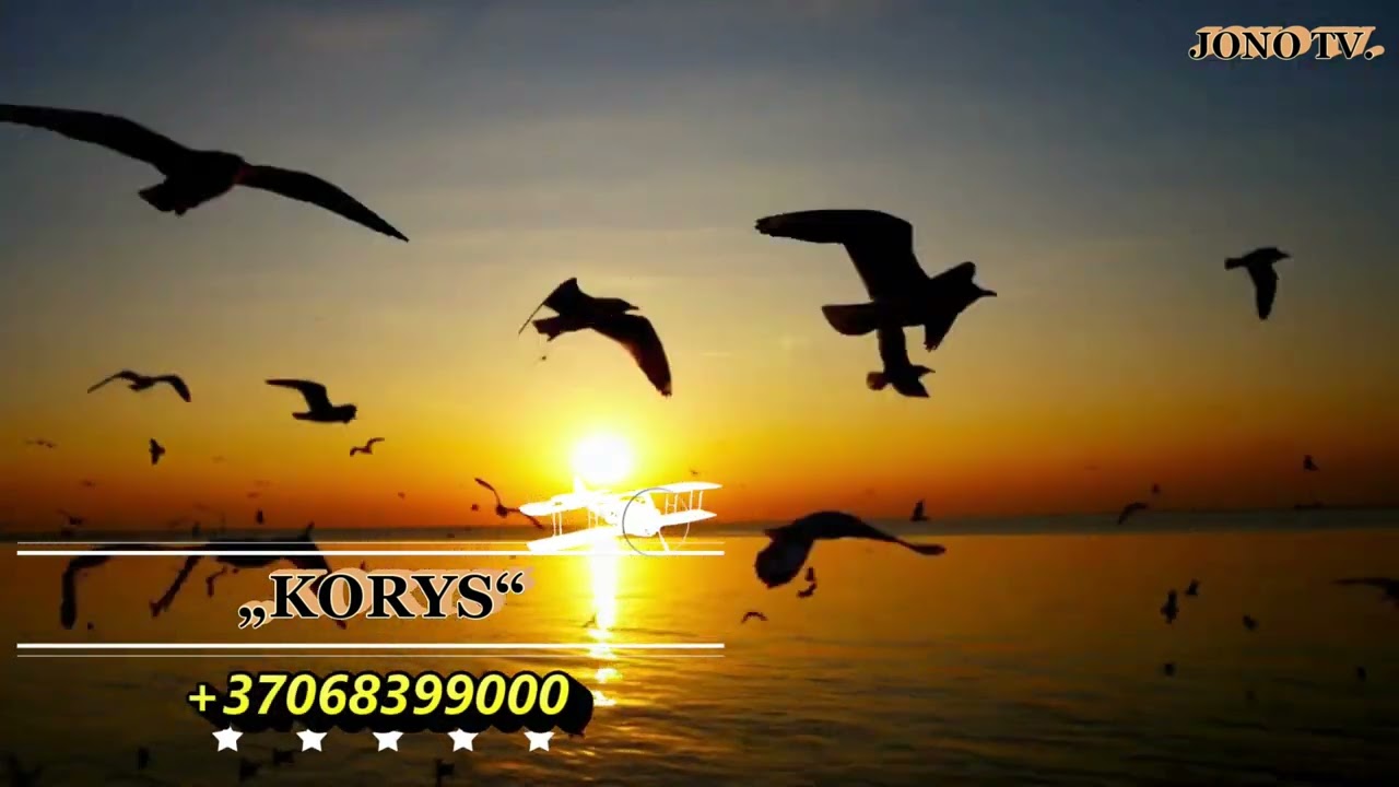 &bdquo;KORYS&ldquo;