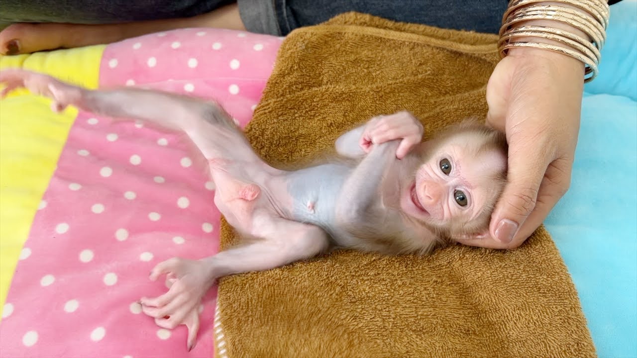 Baby Tauch Is Moody During Mom Treat Him After Clean Up