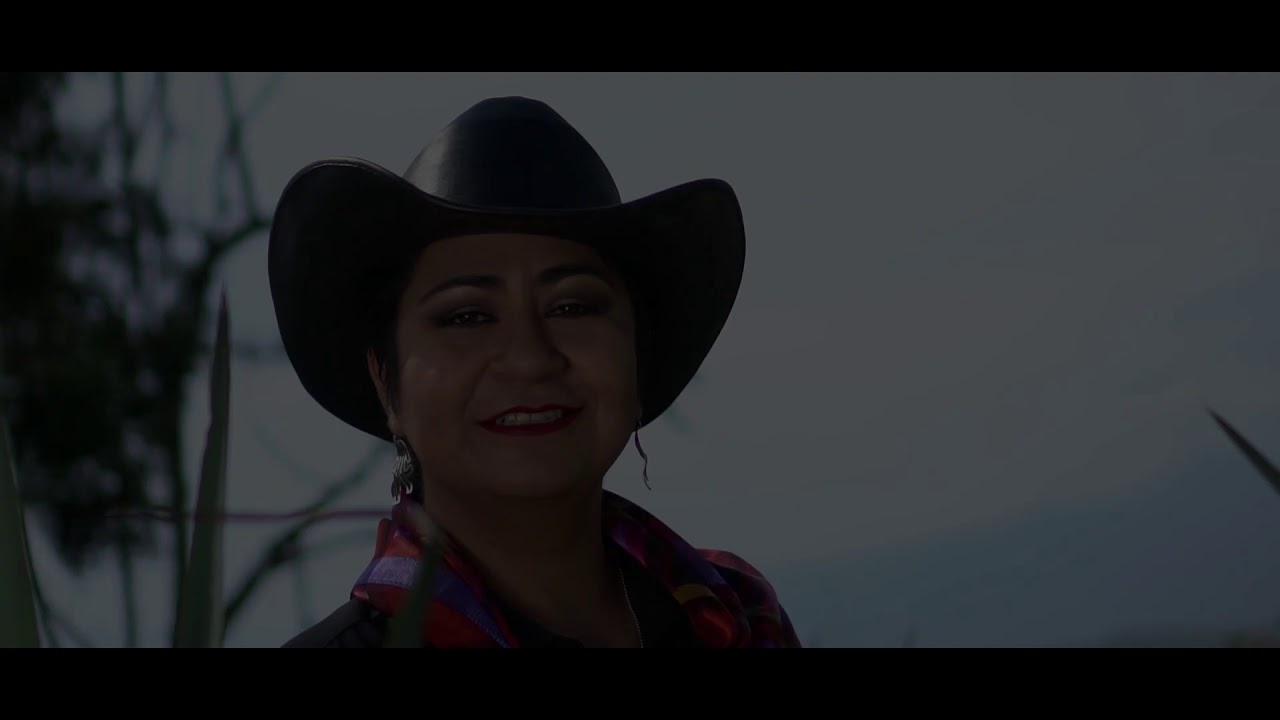 Y ándale  (D.A.R.)