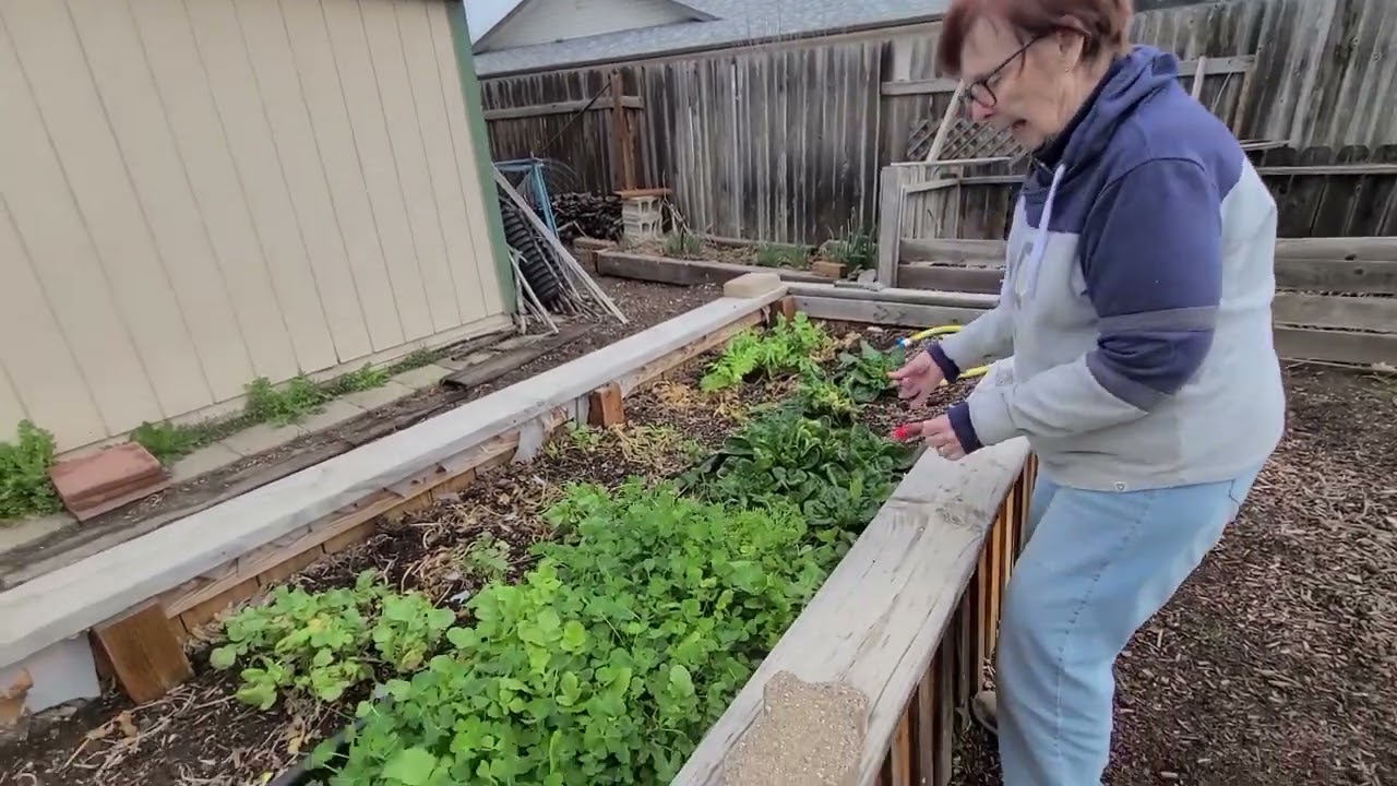 Gretchen's Garden & Greenhouse - 5 March 2026 - Getting the year started