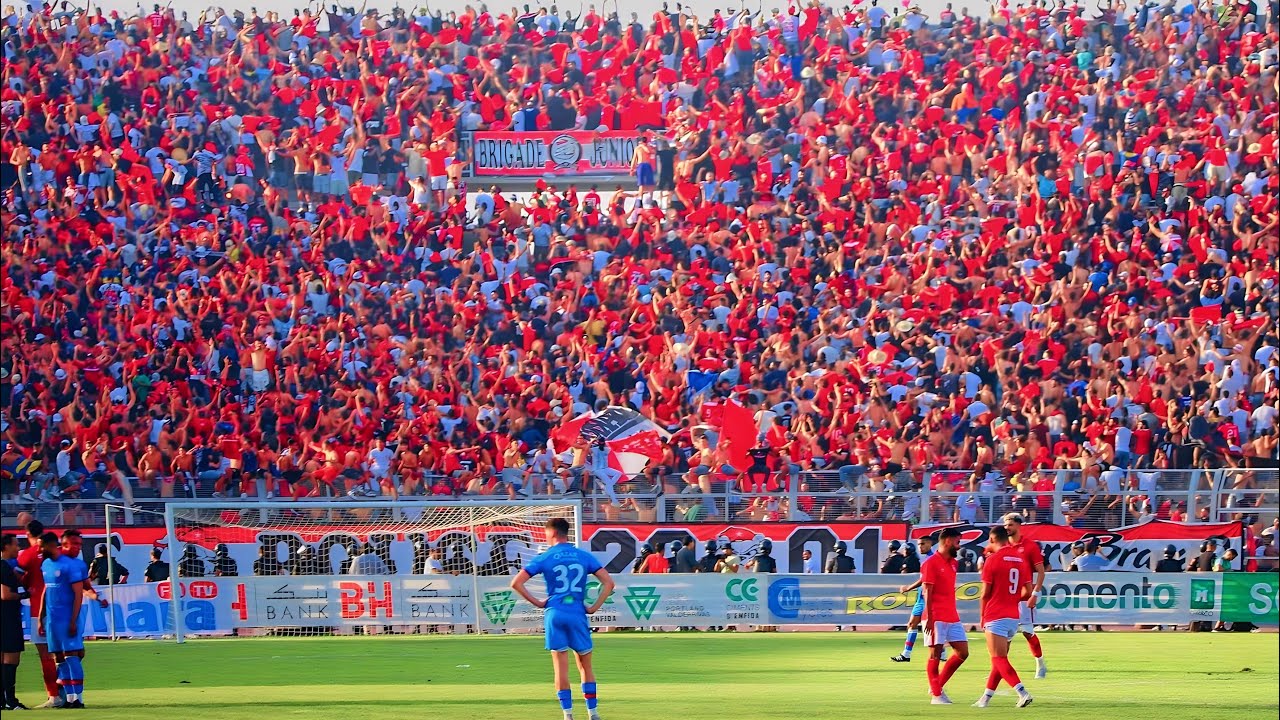 BARRA BRAVA DEL AFRIQUE BR01