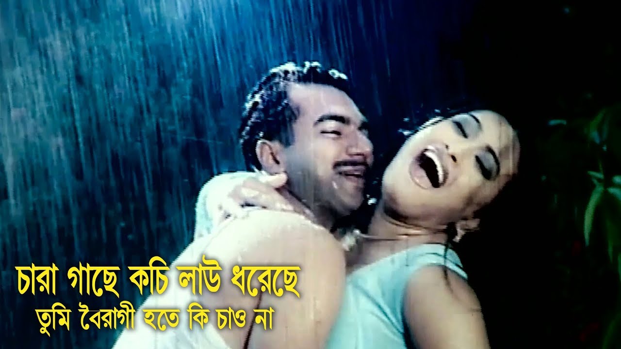 চারা গাছে কচি লাউ ধরেছে | Mehedi | Jhumka | Bangla Movie Song | Proti Hingshar Badur