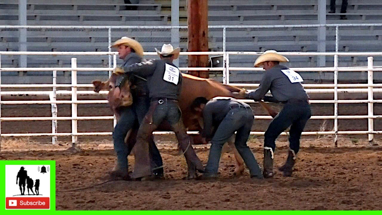 Wild Cow Milking - 2020 Colorado Championship Ranch Rodeo (Friday)