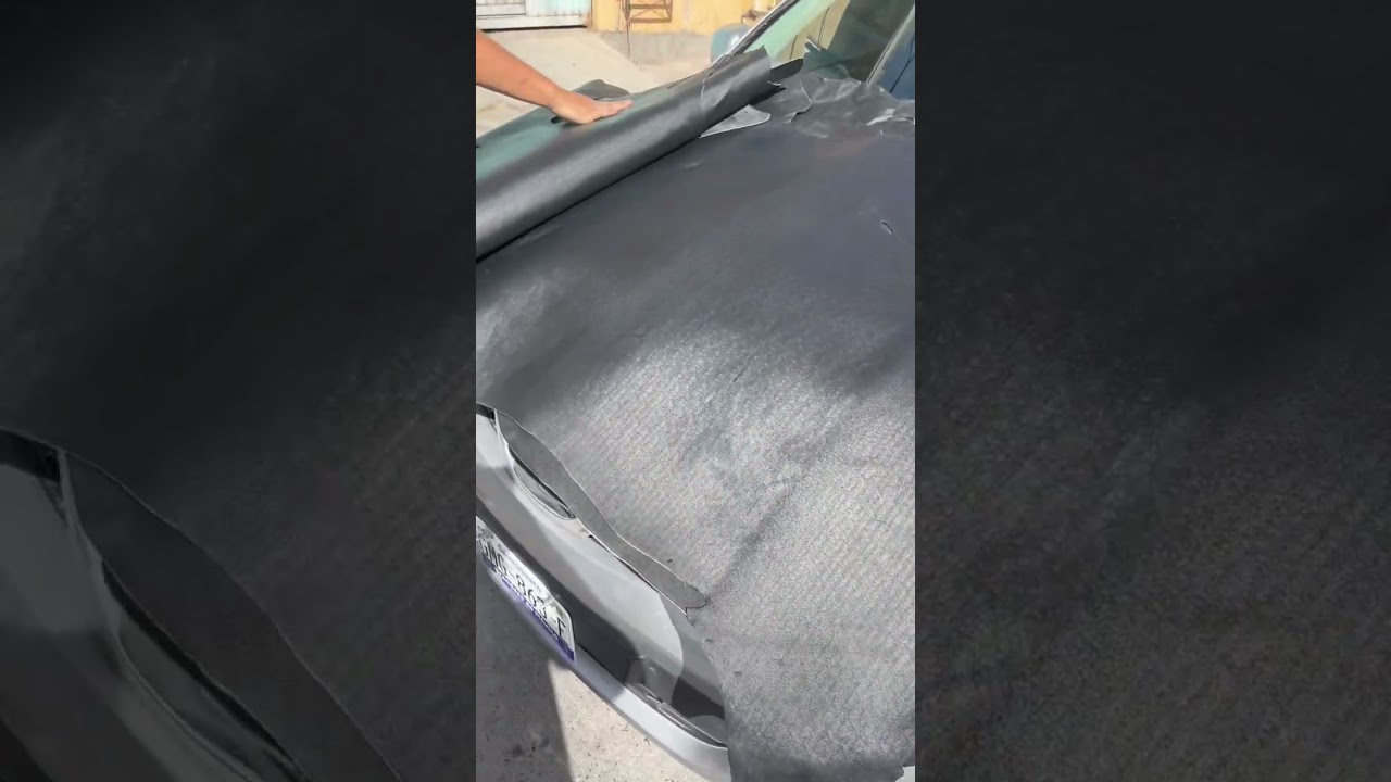 Carnaza de res de corte en leon gto