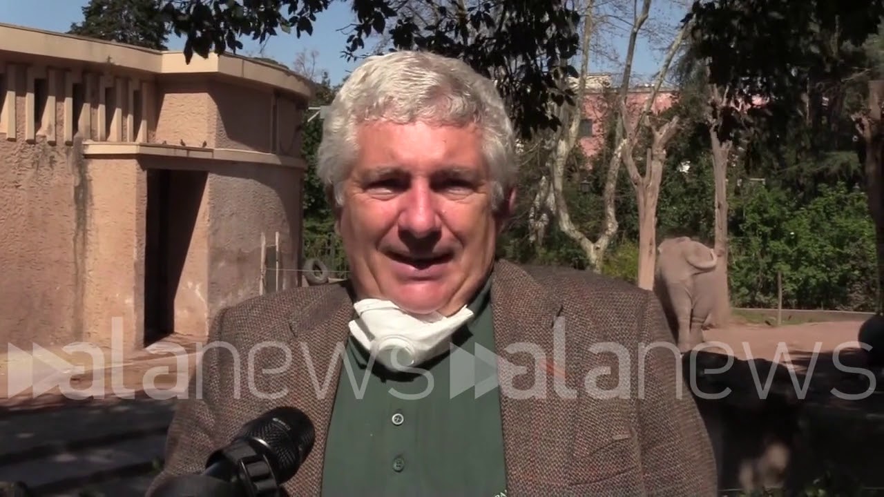 Al Bioparco di Roma gli animali soffrono la solitudine