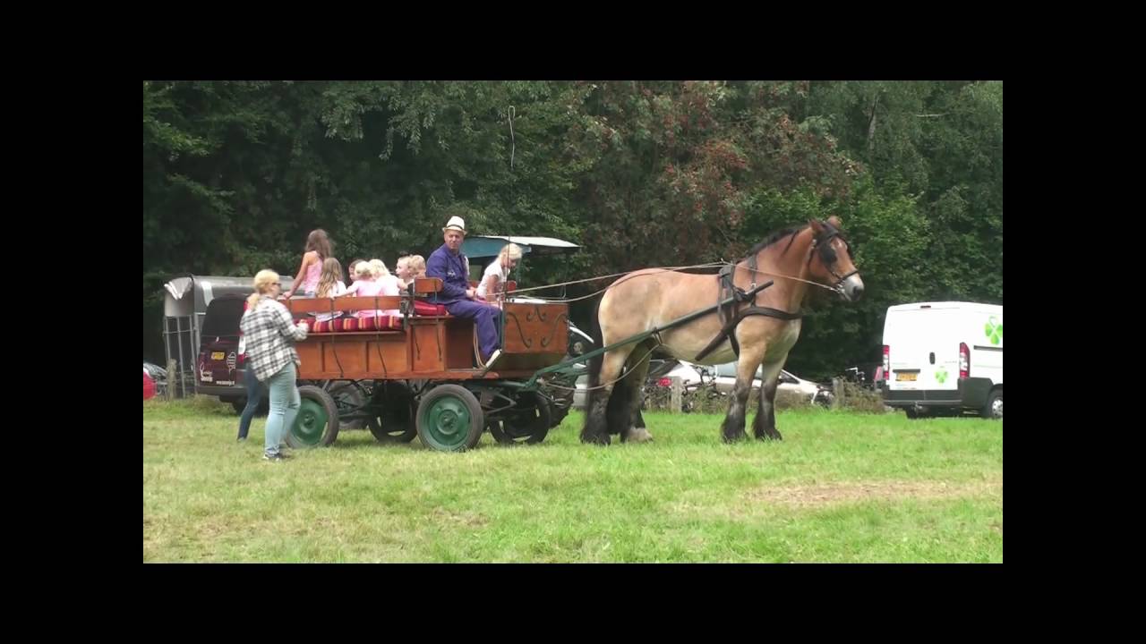 Oogstfeest Lonneker Zomiac 2016