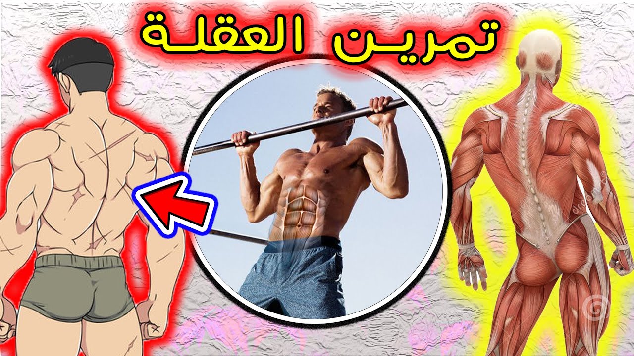 هذا ما سيحدث لجسمك بعد اداء تمرين العقلة بانتظام | فوائد لا يخبرك بها احد