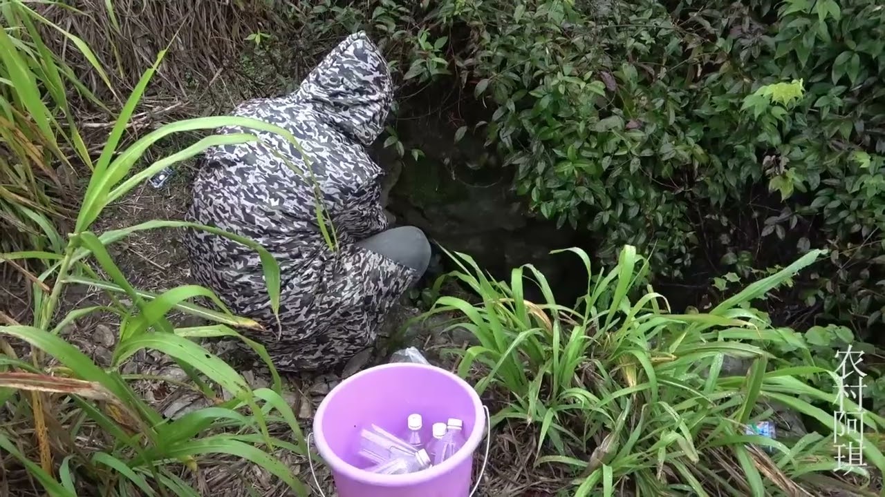 阿琪深潭群里投放自动抓鱼器，这样的抓鱼方式，大家一起去看看