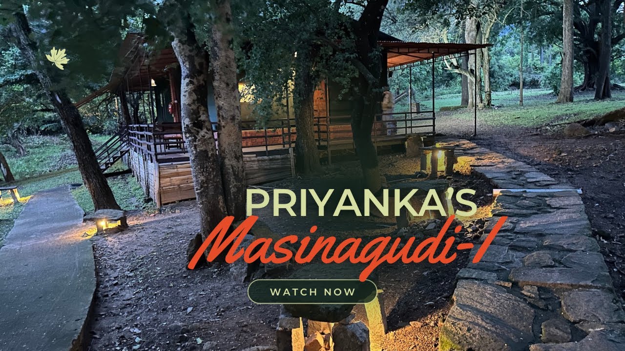 Trip to Masinagudi 🌿 | Jungle Hut Resort in Mudumalai Forest | Scenic Drive,Checkpoints|Forest Stay!