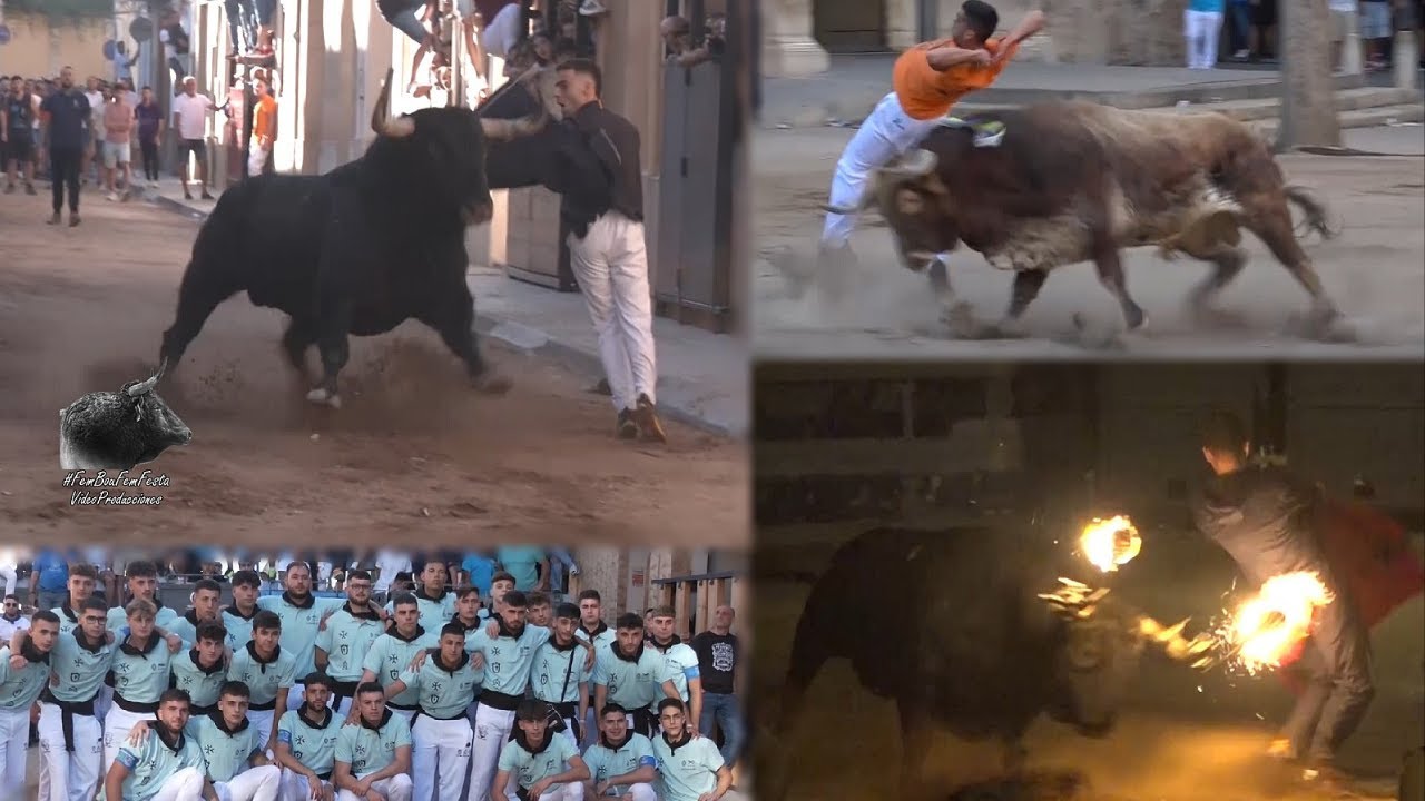 VIDEOCLIP CLAVARIS DE LA VERGE DEL ROSARI MASSAMAGRELL 2024.