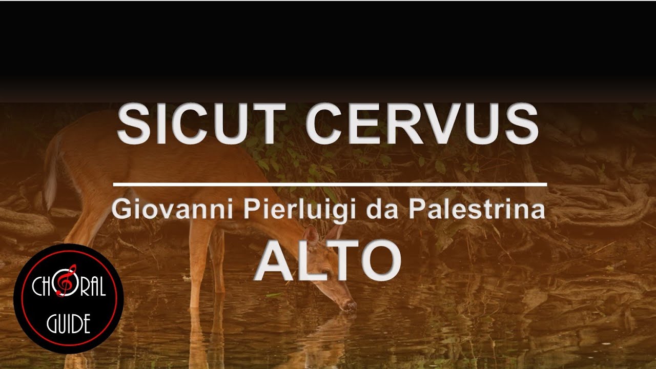 Sicut Cervus - ALTO | GP Palestrina