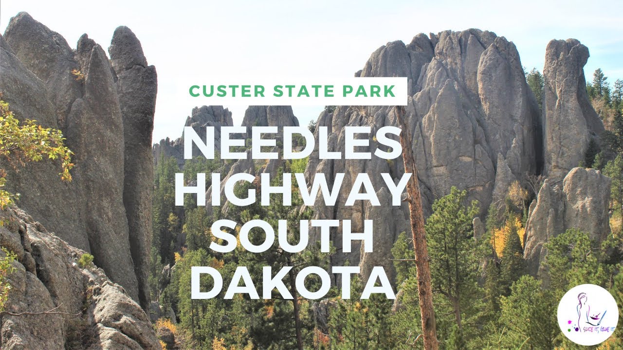 Needles Highway | Custer State Park | South Dakota | Needles Eye Tunnel|Iron creek Tunnel|Wildlife.