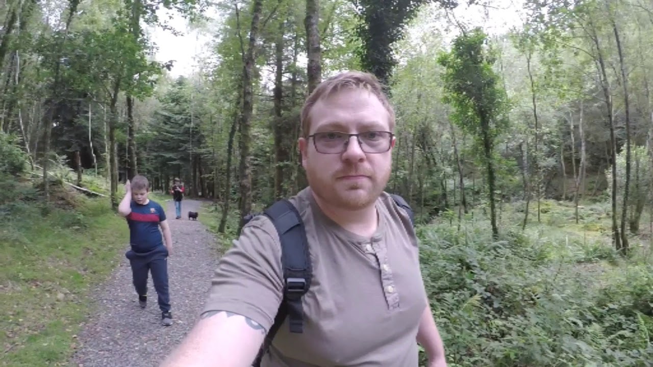 Kirroughtree Forest