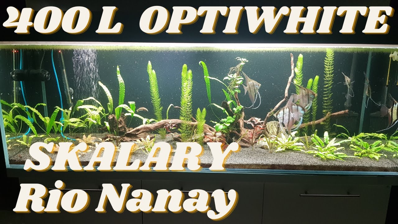 400L Optiwhite