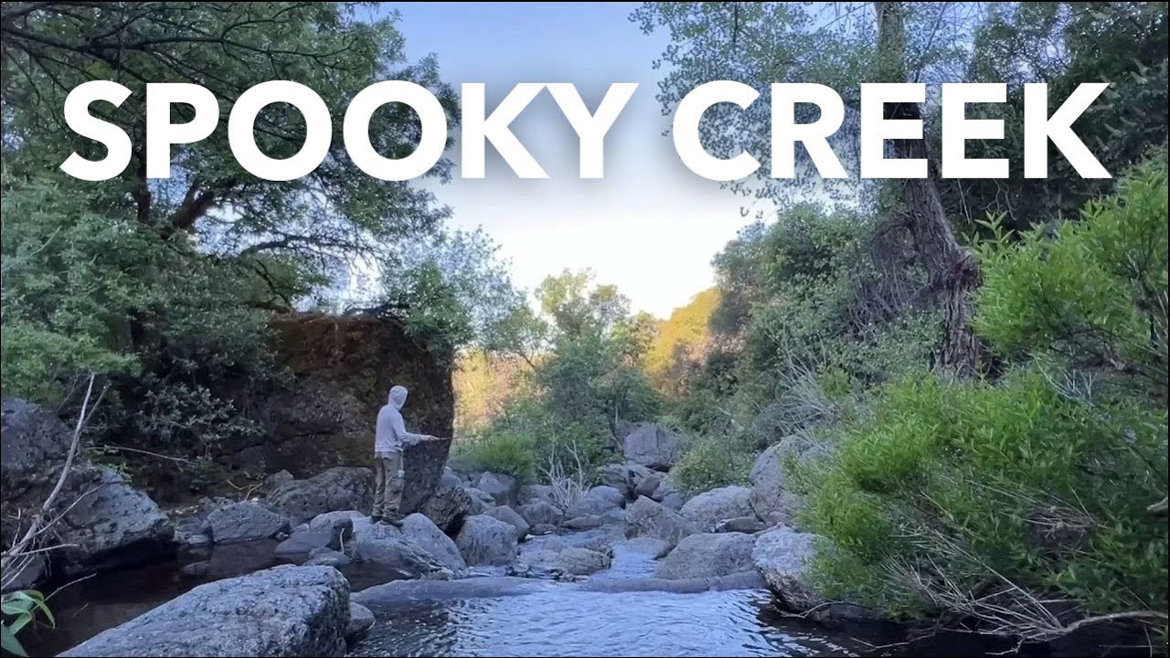 NorCal tenkara, May ‘24