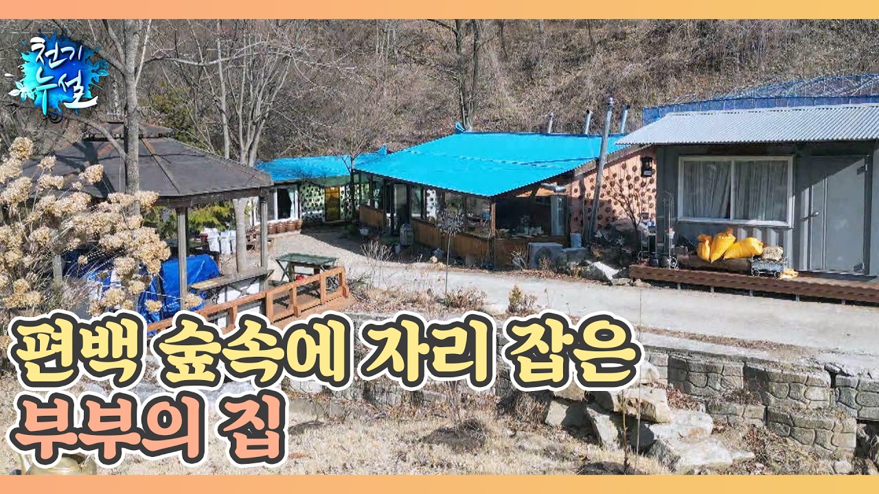 편백 숲속에 자리 잡은 부부의 집 MBN 260313 방송