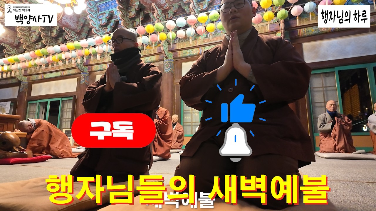 [행자님의 하루 S1 2화] 예불만 드리는 게 아닙니다! 새벽예불 전후 행자님들의 손길이 닿는 모든 순간