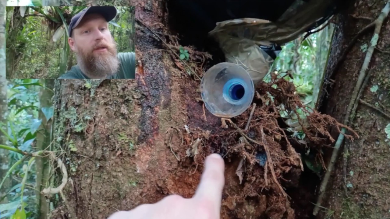 Achei Mandaçaia Coletando Argila e Instalei Iscas — No Final um Macaco Aparece do Nada!