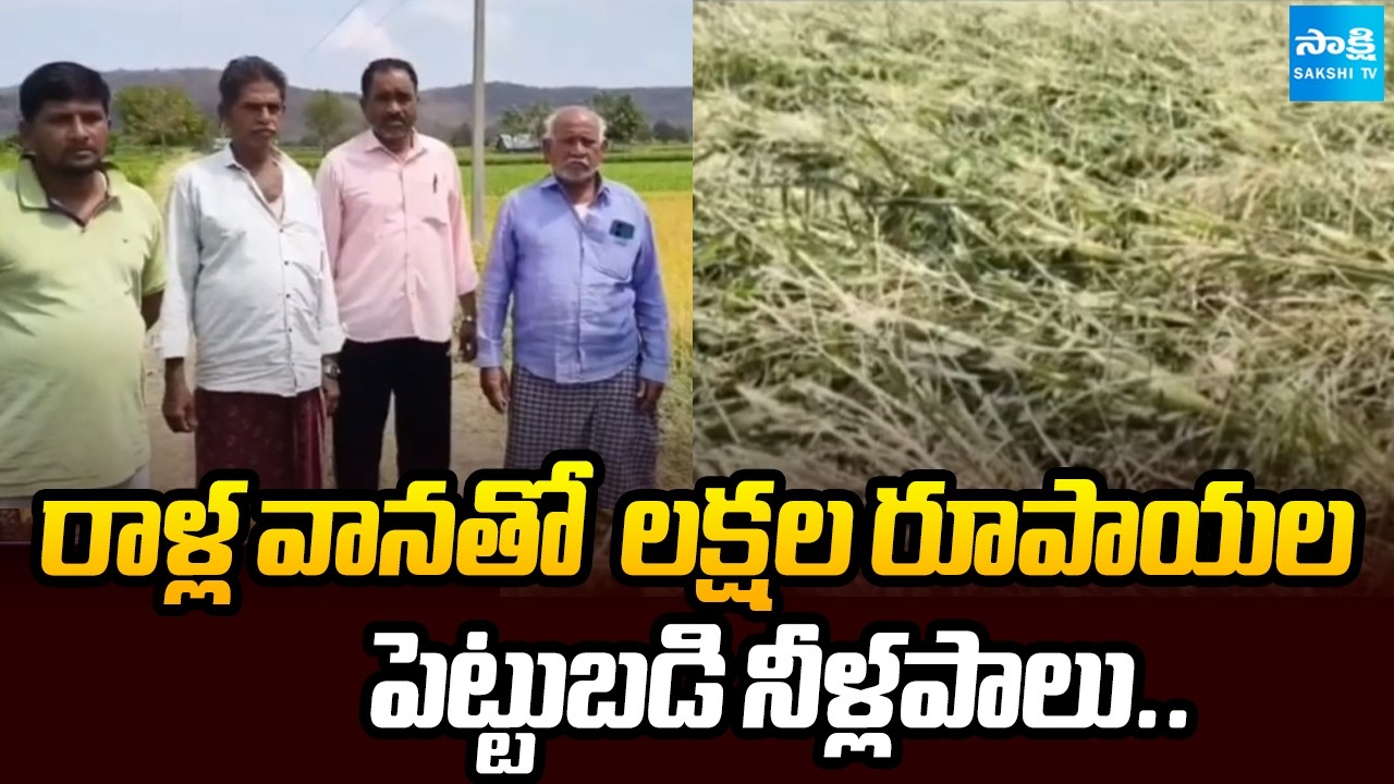 Huge Crop Damage Due To Sudden Rains, Farmers Demands Compensation | @SakshiTV