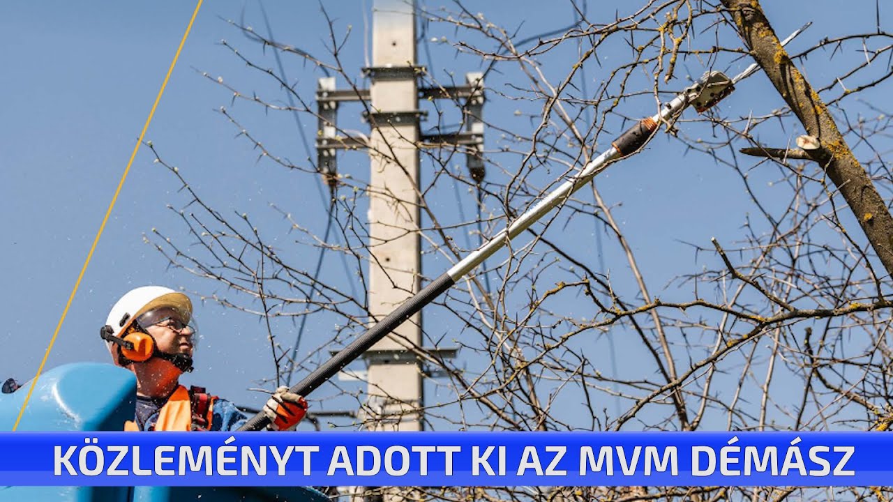 Közleményt adott ki az MVM Démász