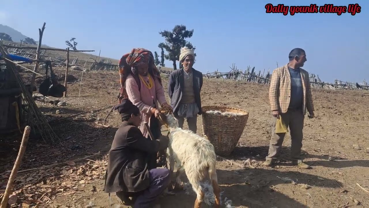 Top Himalayan RemoteVillage | Real Life with Goats and Family”