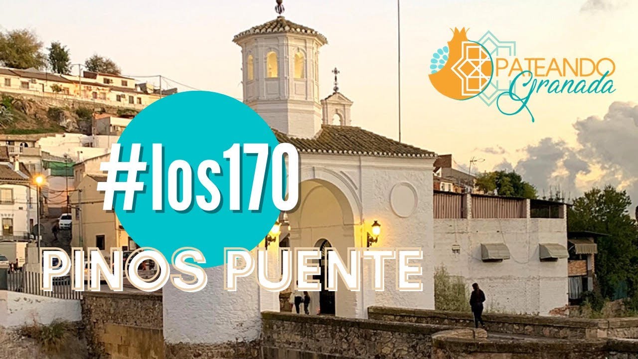 1/170: Pinos Puente