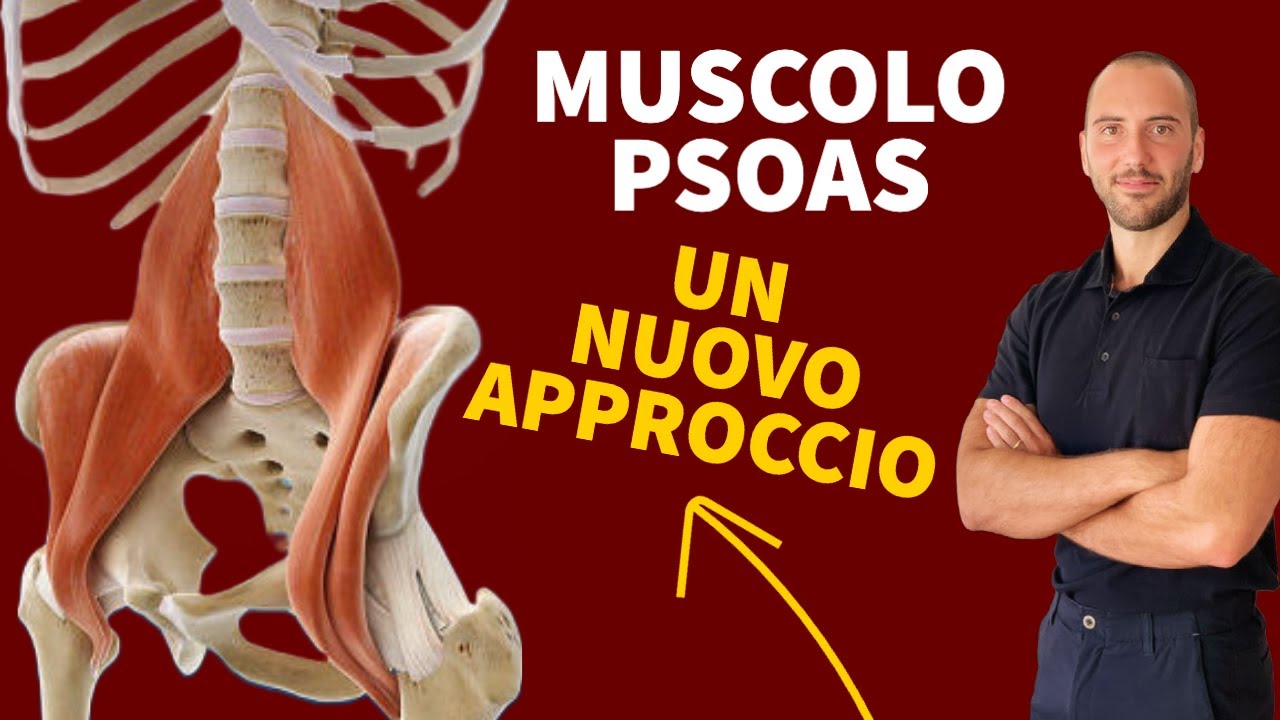 Psoas Il Muscolo Meno Compreso Per La Schiena + 1 Esercizio Perfetto Per Inibirlo