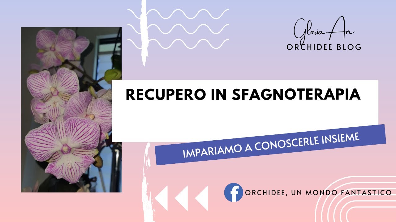 Recupero in sfagnoterapia