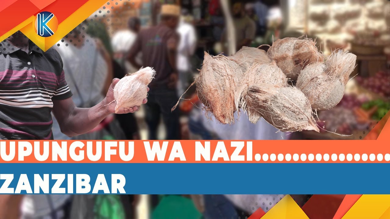 UPUNGUFU WA NAZI ZANZIBAR.