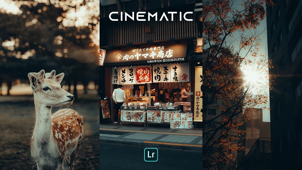 Пресеты POV CINEMATIC — бесплатные пресеты Lightroom Mobile DNG | Пресеты POV для уличной фотографии
